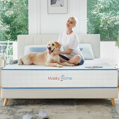 Maxky Home 10 Inch Gel Memory Foam Mattress with Pillow, 5 Size Hybrid Mattress Bed in a Box, CertiPUR-US Certified, 10-year Warranty